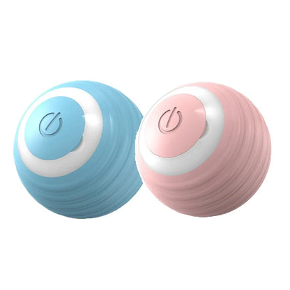 Cat Fitness and Interactive Smart ball
