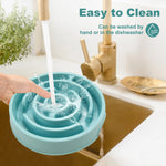 Pro-Slow maze dog bowl