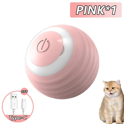 Cat Fitness and Interactive Smart ball