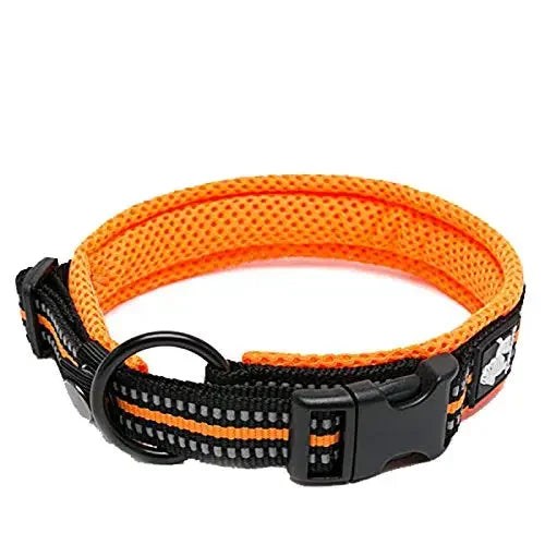 Truelove Reflective Padded Dog Collar