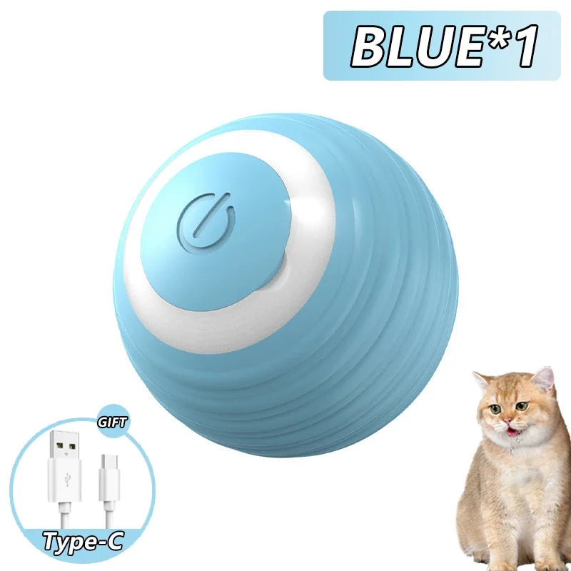 Cat Fitness and Interactive Smart ball