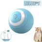 Cat Fitness and Interactive Smart ball
