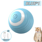 Cat Fitness and Interactive Smart ball