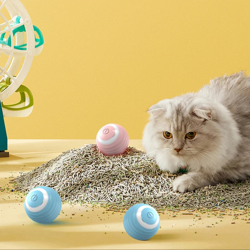 Cat Fitness and Interactive Smart ball
