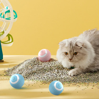 Cat Fitness and Interactive Smart ball