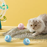 Cat Fitness and Interactive Smart ball