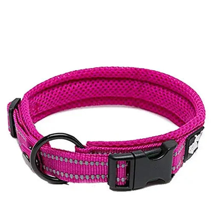 Truelove Reflective Padded Dog Collar