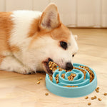 Pro-Slow maze dog bowl