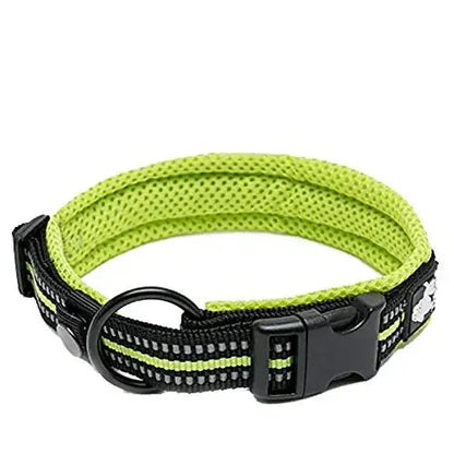Truelove Reflective Padded Dog Collar