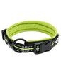 Truelove Reflective Padded Dog Collar