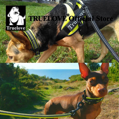 Truelove Reflective Padded Dog Collar