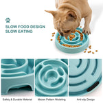 Pro-Slow maze dog bowl