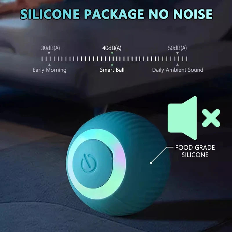 Cat Fitness and Interactive Smart ball
