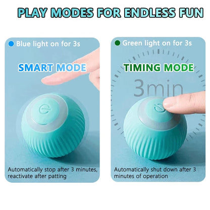 Cat Fitness and Interactive Smart ball