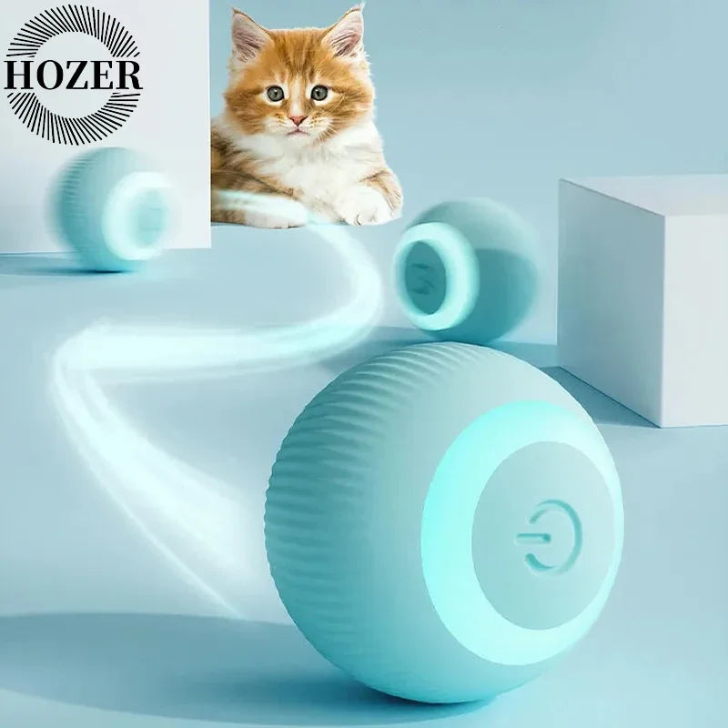 Cat Fitness and Interactive Smart ball